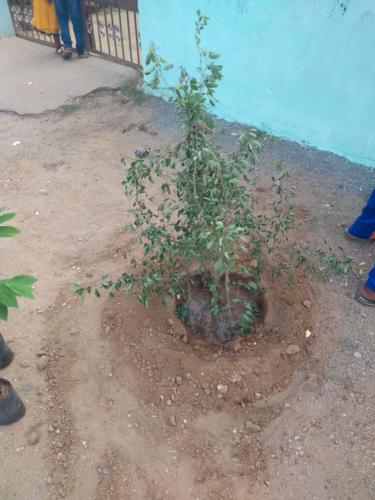 IMG-20190614-WA0049